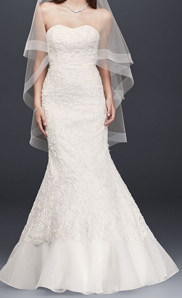 Never used, Brand New, Purchased at Davids Bridal